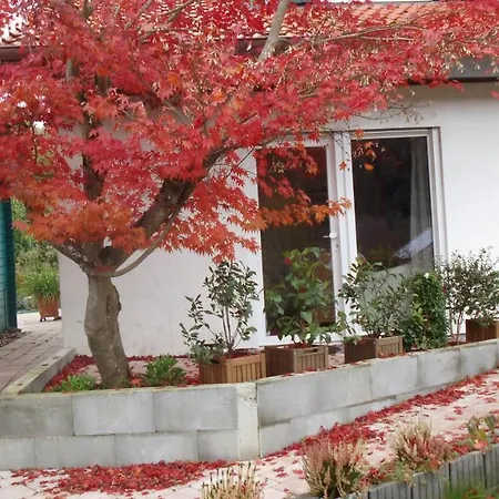 Haus Magnolia 2 Apartment